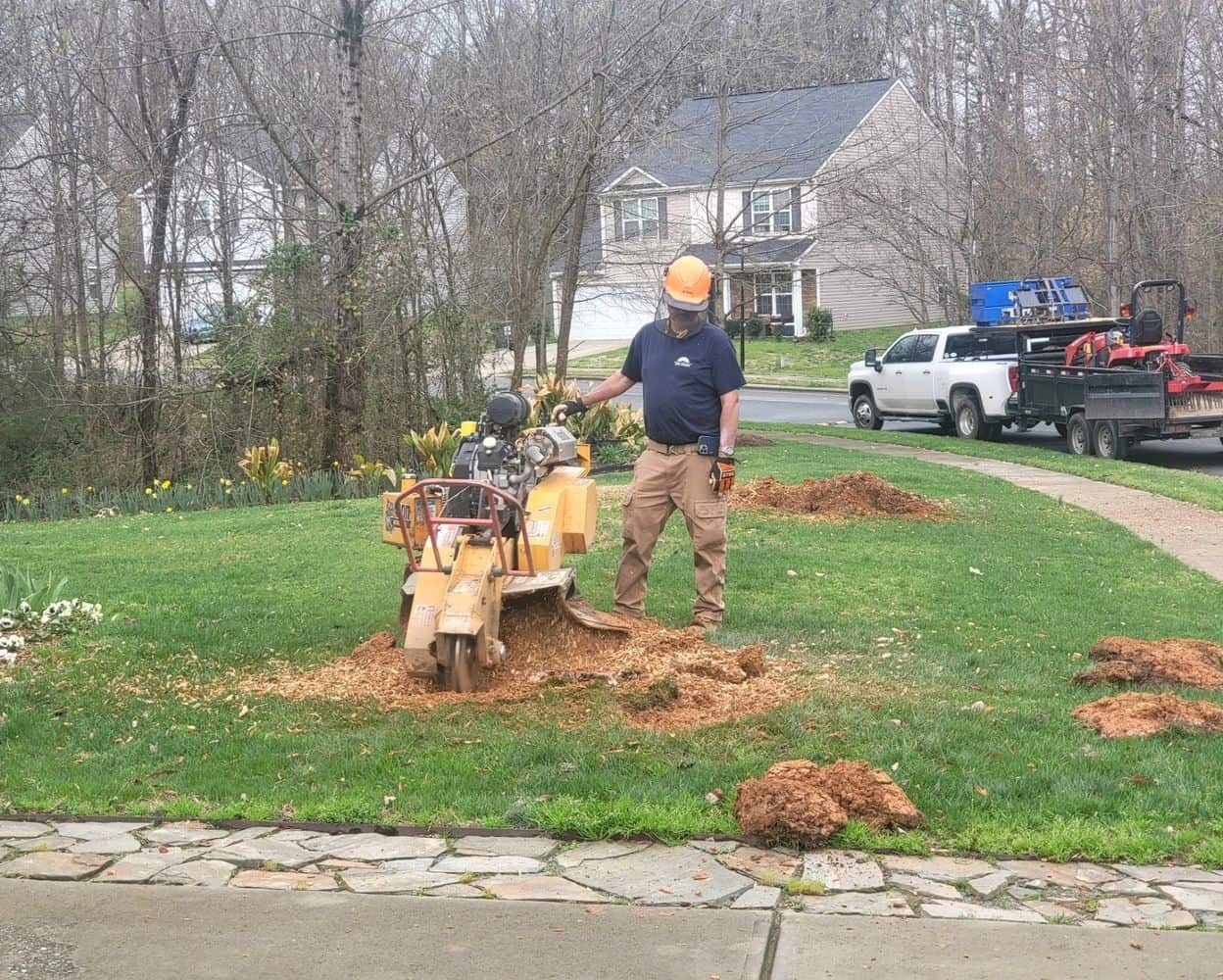 Completed stump removal projects in Charlotte, NC